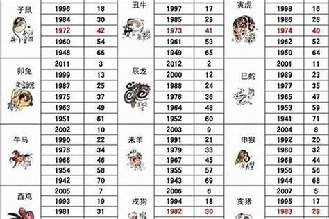 1970年屬狗|1970年属狗的几月出生最好